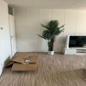 housePhoto