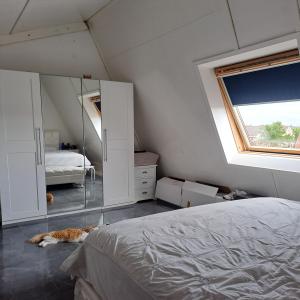 housePhoto